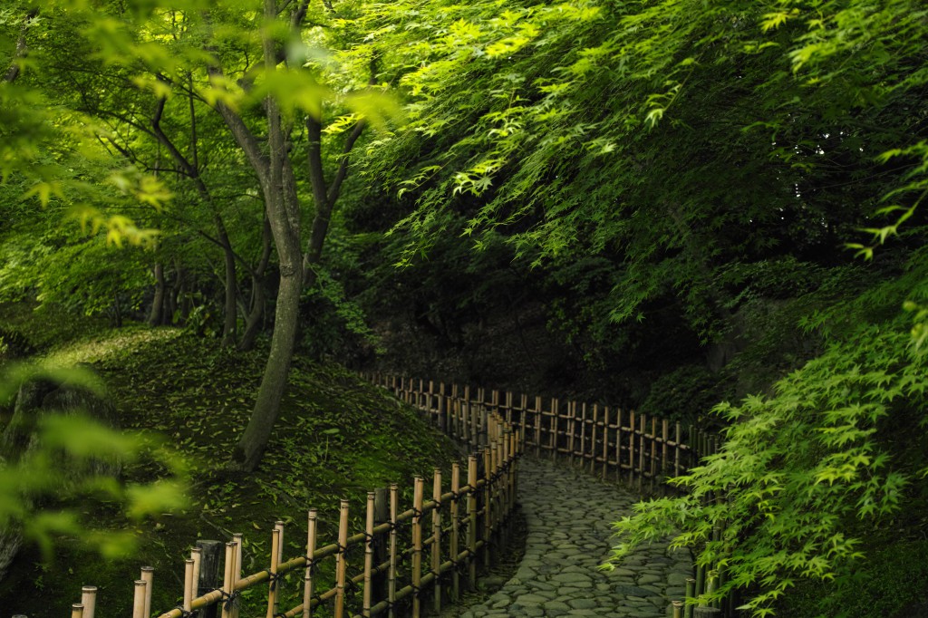 香川 - 栗林公園のもみじ小道