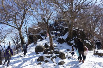 積雪ハイク 筑波山 てっくぎ ーく やもりたん